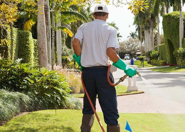 About Bennett IA Pest Control Pros